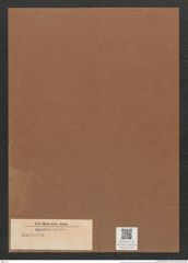 Surirella sp. (de-Toni-Nr.: Genus 53) Zeichnungen Sammlung Grunow Mappe 02590 (Herbarium_W_Grunow_drawings_Folder_02590)
